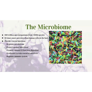 Ayurveda and Auto-Immune Diseases (Ayurveda on Symptoms, Root Causes and Recovery from Thyroid Disorders, IBD, Celiac Disease, Skin Ailments such as Eczema) Educational Videos The Ayurveda Experience