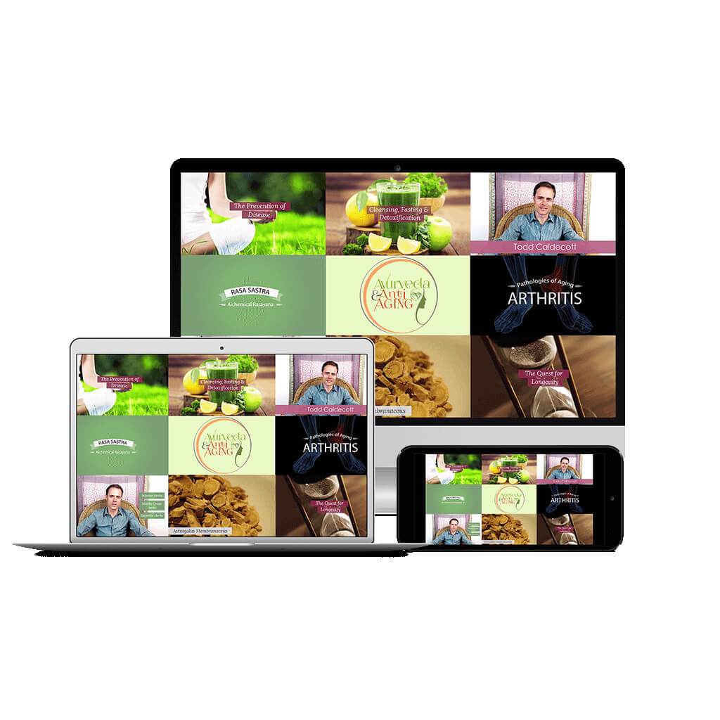 Ayurveda & Anti-Aging Educational Course The Ayurveda Experience