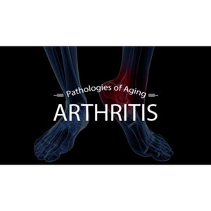 Ayurveda & Anti-Aging (Secrets of Ayurveda and Chinese Medicine - Diet and Herbs for Anti Aging) Educational Videos The Ayurveda Experience