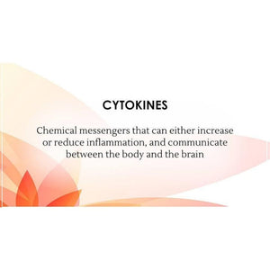 Ayurveda on Chronic Stress, Anxiety & Depression (Root Causes, Symptoms & Recovery) Educational Videos The Ayurveda Experience