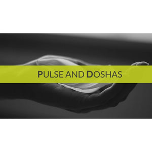 Ayurveda & Pulse Reading Educational Videos The Ayurveda Experience