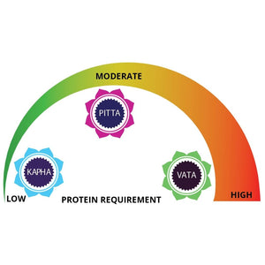 Ayurveda & The Paleo Diet - Ayurvedic Wisdom on customizing the Paleo Diet Educational Videos The Ayurveda Experience