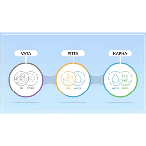 Ayurvedic Detox Educational Videos The Ayurveda Experience