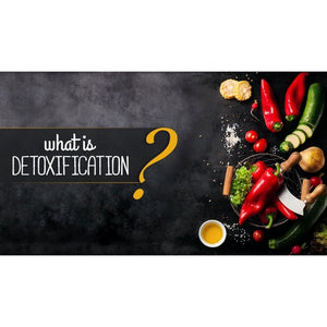 Ayurvedic Detox Educational Videos The Ayurveda Experience