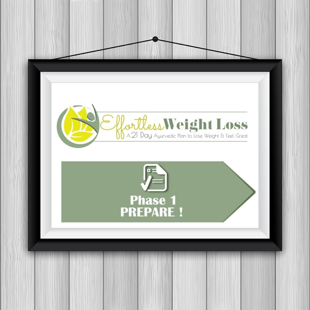 Effortless Weight Loss - 21-day Ayurvedic Detox Diet Plan to Lose Weight Educational Videos The Ayurveda Experience