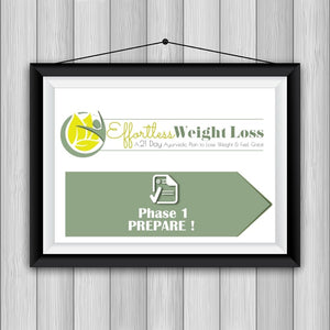 Effortless Weight Loss - 21-day Ayurvedic Detox Diet Plan to Lose Weight Educational Videos The Ayurveda Experience
