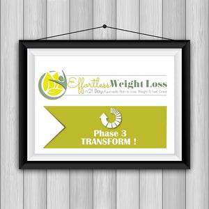 Effortless Weight Loss - 21-day Ayurvedic Detox Diet Plan to Lose Weight Educational Videos The Ayurveda Experience