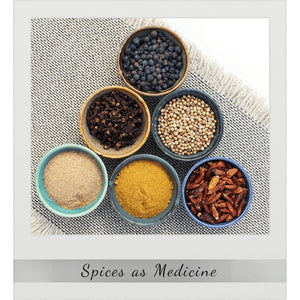 Modern Ayurveda - Dual Benefits of Yoga and Ayurveda - Diet, Exercise, Detox Educational Videos The Ayurveda Experience