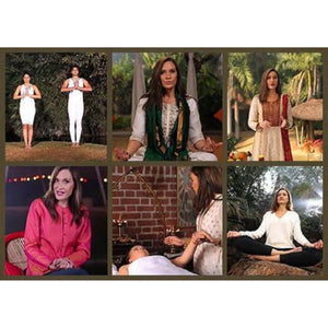 The Ayurveda Experience - Fundamentals of Ayurveda on Diet, Exercise, Meditation, Beauty and Body Work - Digital Educational Videos The Ayurveda Experience