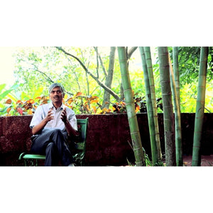 The Ayurvedic Secrets of Digestion Educational Videos The Ayurveda Experience