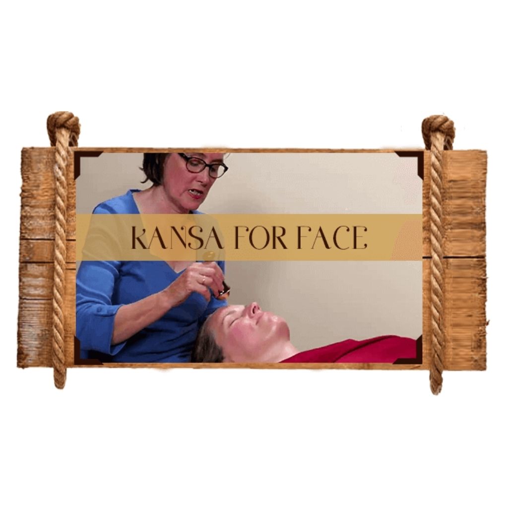 The Kansa Course Educational Videos The Ayurveda Experience