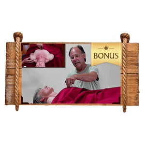 The Kansa Course Educational Videos The Ayurveda Experience