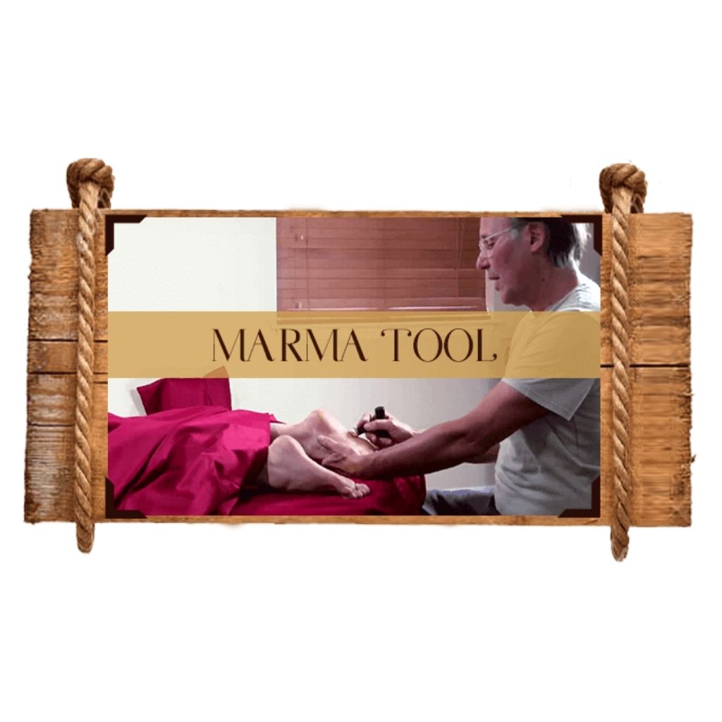 The Kansa Course Educational Videos The Ayurveda Experience