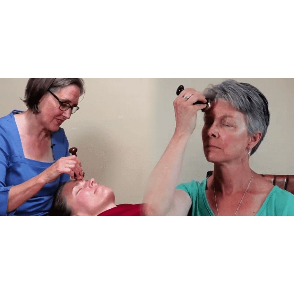 The Kansa Course Educational Videos The Ayurveda Experience