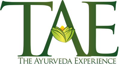 The Ayurveda Experience India