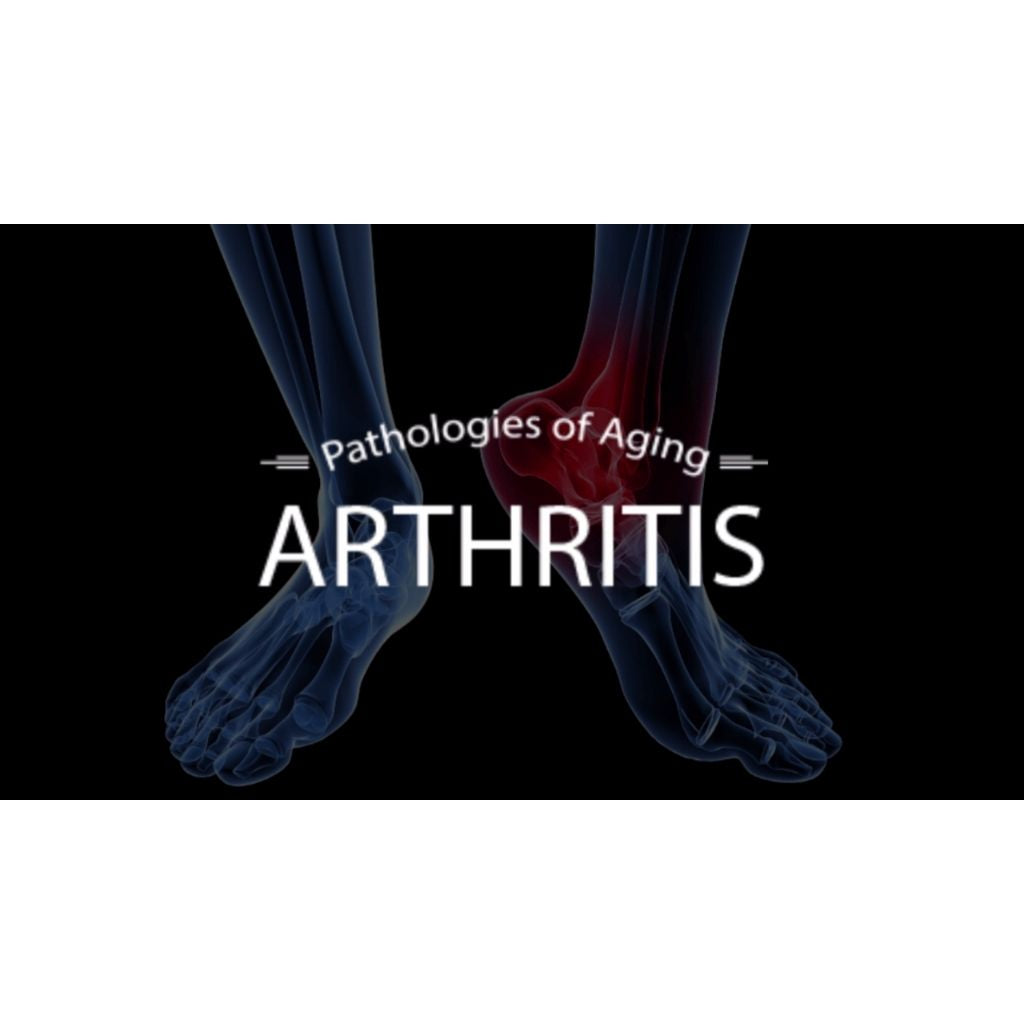 Ayurveda & Anti-Aging (Secrets of Ayurveda and Chinese Medicine - Diet and Herbs for Anti Aging) Educational Videos The Ayurveda Experience 