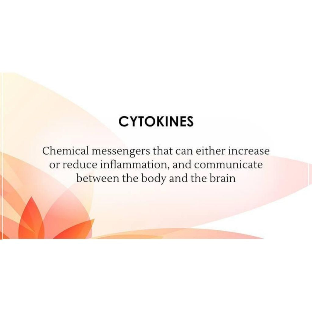 Ayurveda on Chronic Stress, Anxiety & Depression (Root Causes, Symptoms & Recovery) Educational Videos The Ayurveda Experience 