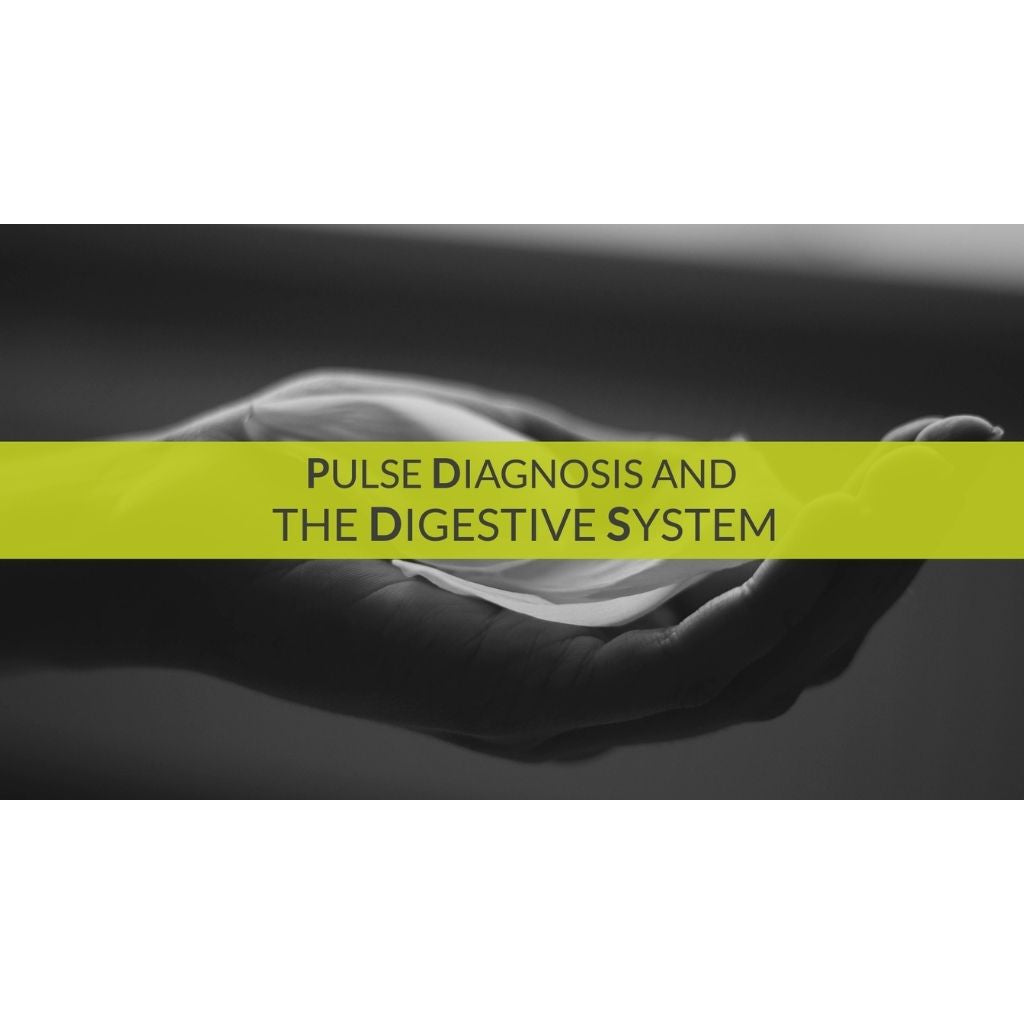 Ayurveda & Pulse Reading Educational Videos The Ayurveda Experience 