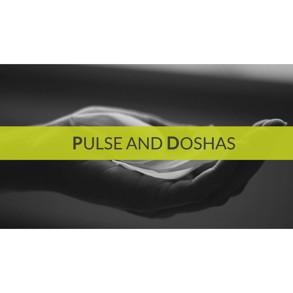 Ayurveda & Pulse Reading Educational Videos The Ayurveda Experience 