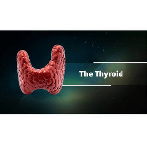 Ayurveda & Thyroid Health (Ayurveda on Root Causes of Thyroid, Diagnosis of Thyroid and Thyroid Diet) Educational Videos The Ayurveda Experience 