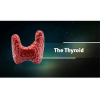 Ayurveda & Thyroid Health (Ayurveda on Root Causes of Thyroid, Diagnosis of Thyroid and Thyroid Diet) Educational Videos The Ayurveda Experience 