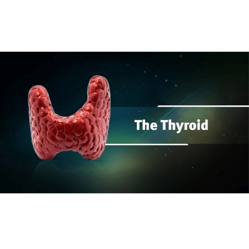 Ayurveda & Thyroid Health (Ayurveda on Root Causes of Thyroid, Diagnosis of Thyroid, Thyroid Diet) Educational Videos The Ayurveda Experience 