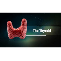 Ayurveda & Thyroid Health (Ayurveda on Root Causes of Thyroid, Diagnosis of Thyroid & Thyroid Diet) Educational Videos The Ayurveda Experience 