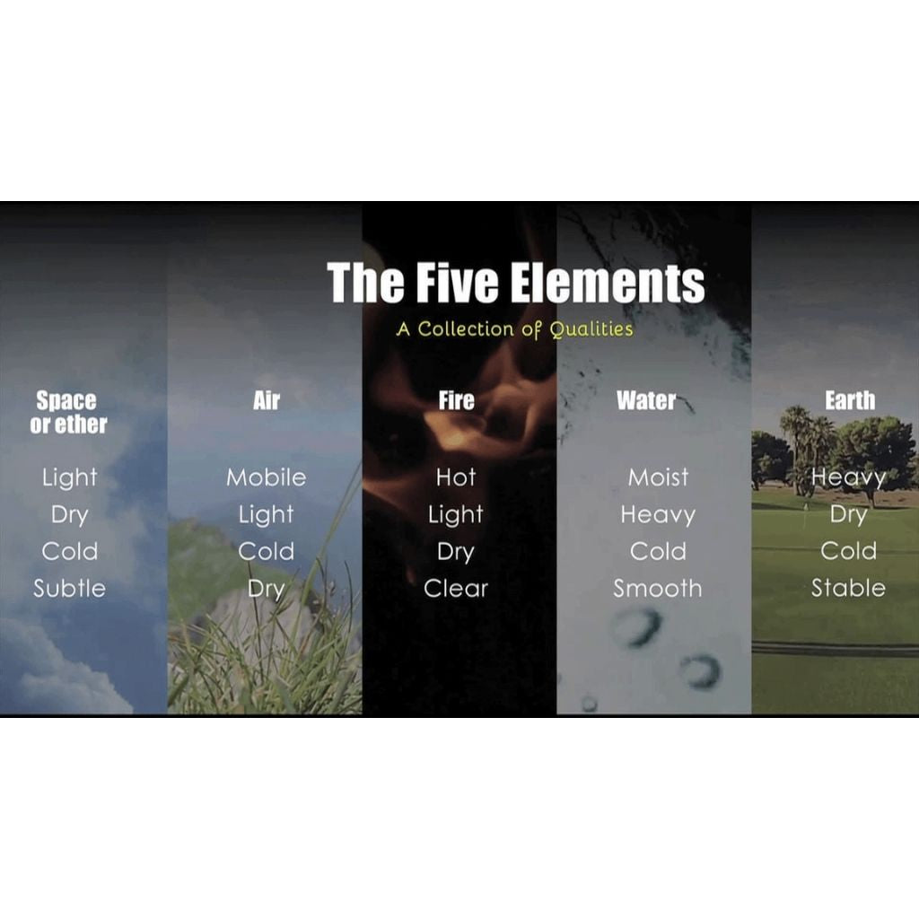 Ayurveda & You - Beginners Course in Ayurveda - Know all about the three Doshas Vata, Pitta and Kapha Educational Videos The Ayurveda Experience 