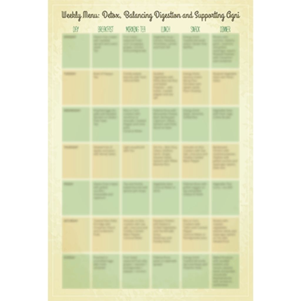 Ayurvedic Detox Educational Videos The Ayurveda Experience 