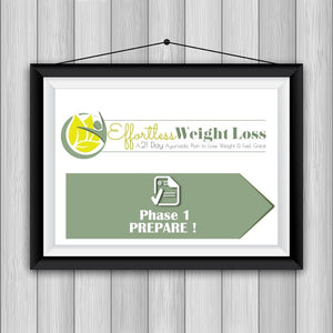 Effortless Weight Loss - 21-day Ayurvedic Detox Diet Plan to Lose Weight Educational Videos The Ayurveda Experience 