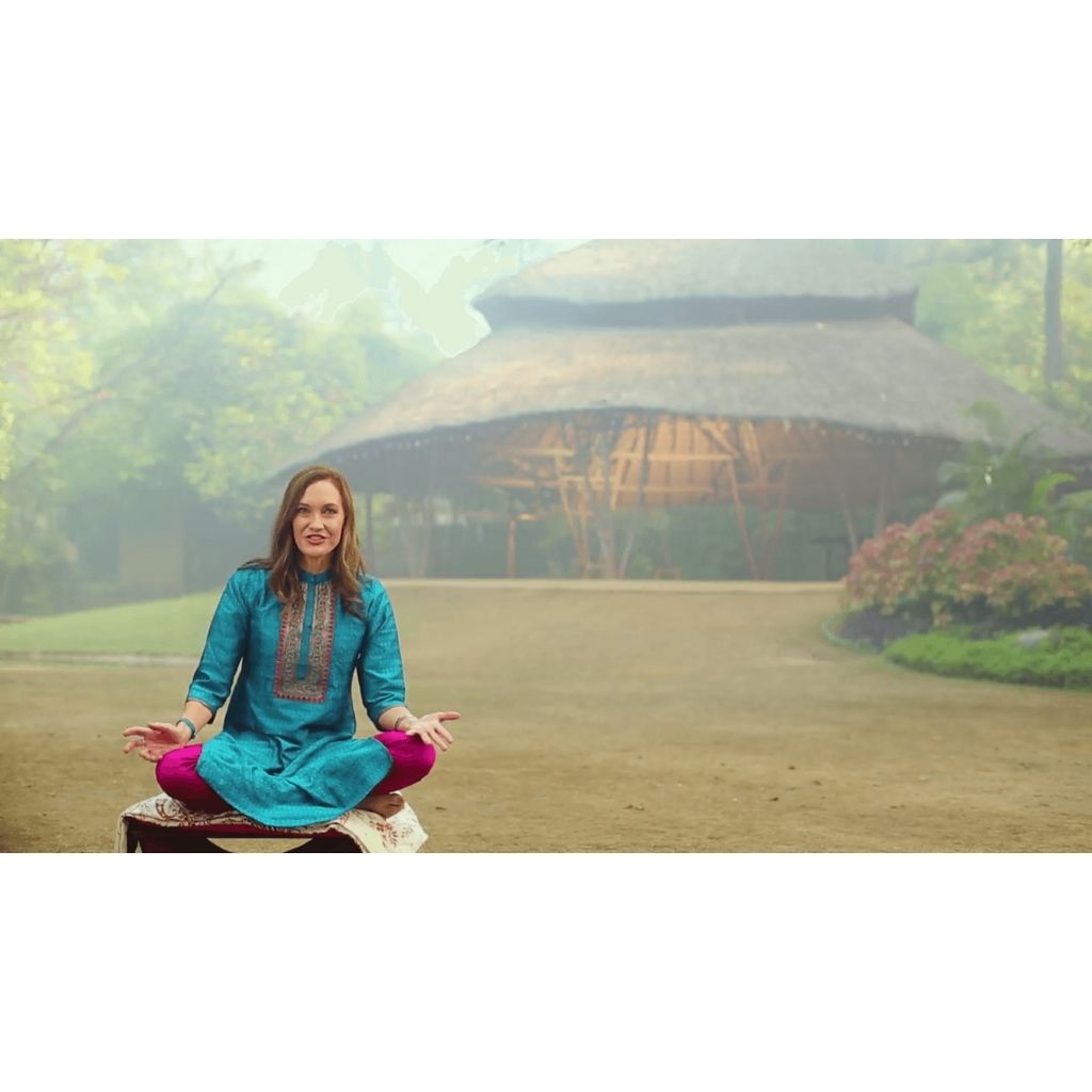 The Ayurveda Experience - Fundamentals of Ayurveda on Diet, Exercise, Meditation, Beauty and Body Work - Digital Educational Videos The Ayurveda Experience 