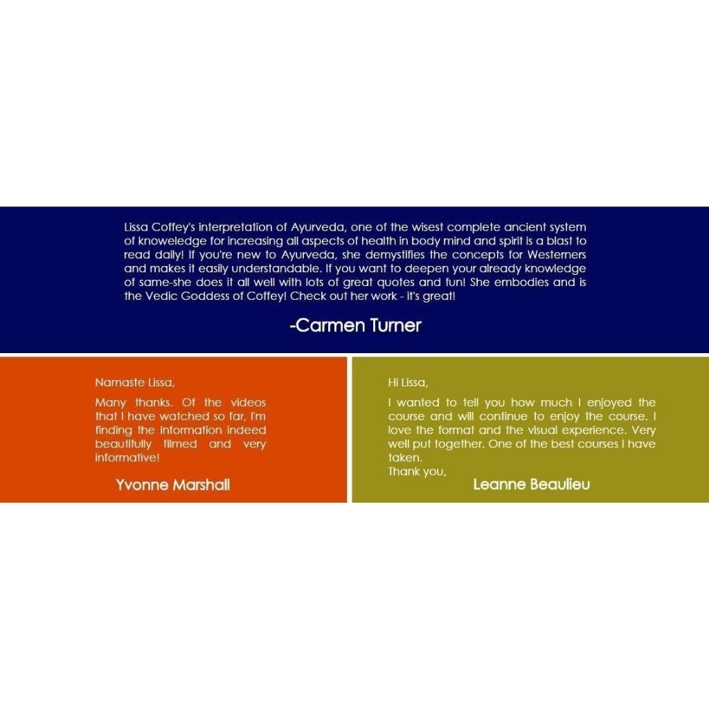 The Ayurveda Experience - Fundamentals of Ayurveda on Diet, Exercise, Meditation, Beauty and Body Work - Digital Educational Videos The Ayurveda Experience 