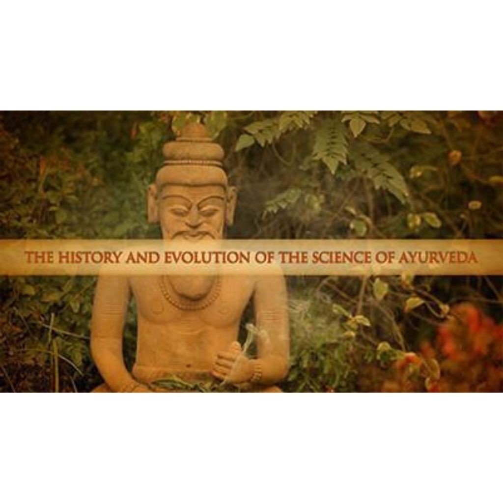 The Ayurveda Experience - Fundamentals of Ayurveda on Diet, Exercise, Meditation, Beauty and Body Work - Digital Educational Videos The Ayurveda Experience 