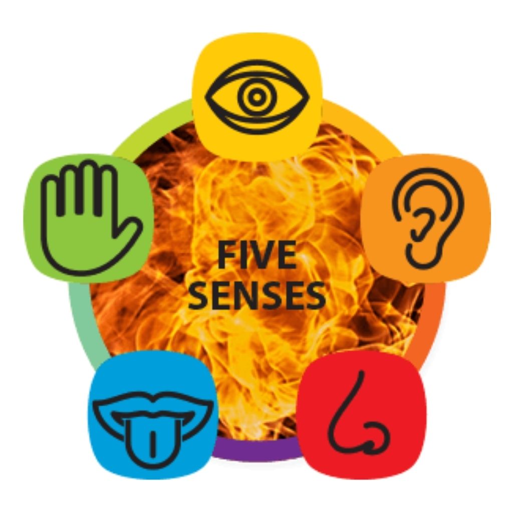 The Ayurvedic Secrets of Digestion Educational Videos The Ayurveda Experience 